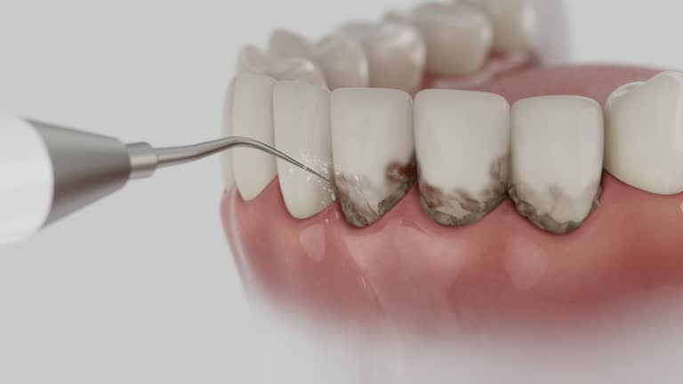 Reliable Dental contractor in Leakesville, MS by Dentist Open Now